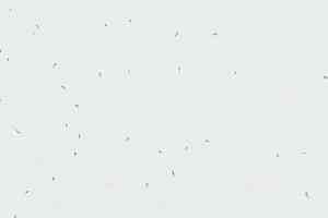 Линолеум Forbo Sphera Energetic 50200 snow фото  | FLOORDEALER